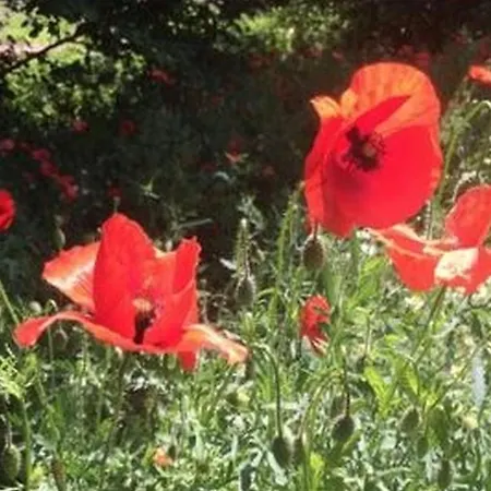 Haus Achtsamzeit Hentern