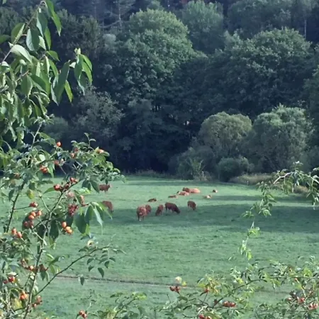 Haus Achtsamzeit بيت للعطل Hentern