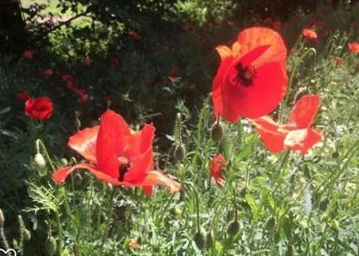 Haus Achtsamzeit Hentern